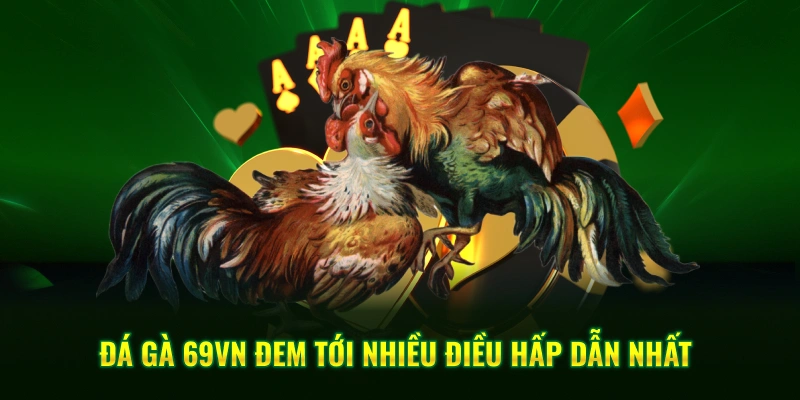Đá gà 69VN đem tới nhiều điều hấp dẫn nhất
