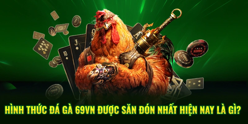 Đá Gà 3 Hình thức đá gà 69VN được săn đón nhất hiện nay là gì?